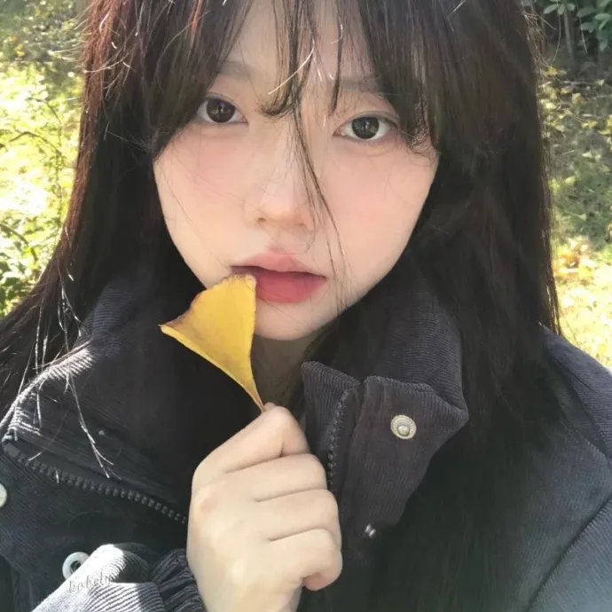 义本无言海报